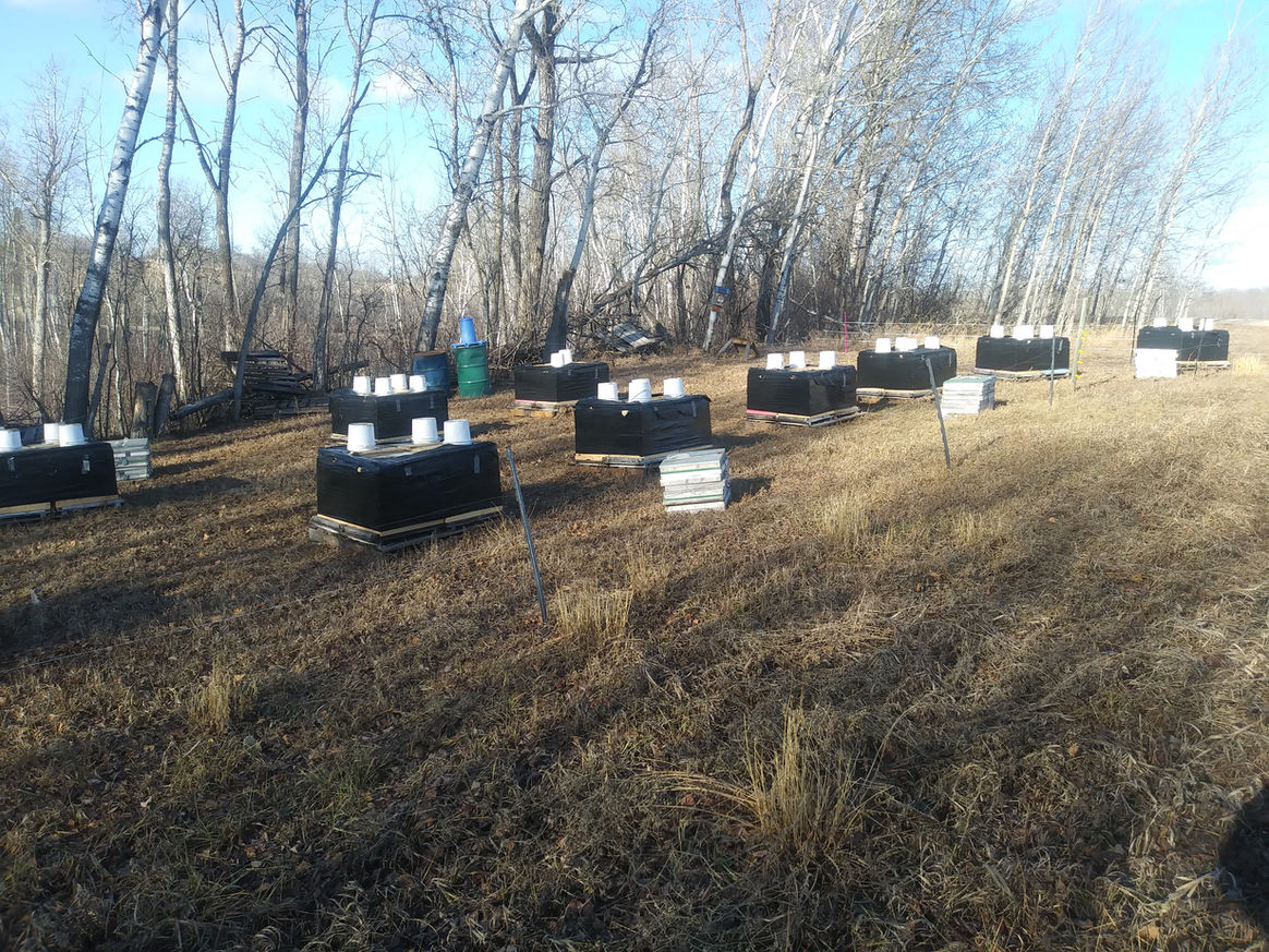 2021 Season photo 22